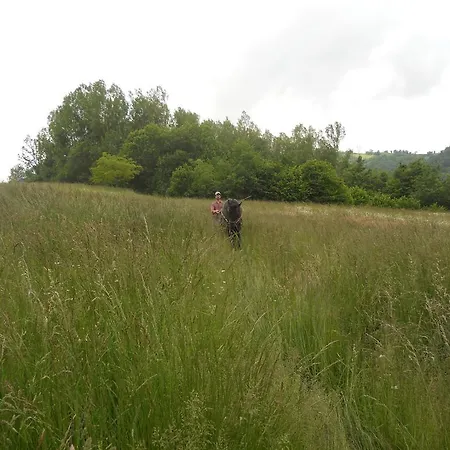 I Pascoli Di Amaltea Gospodarstwo agroturystyczne Alba (Piedmont)